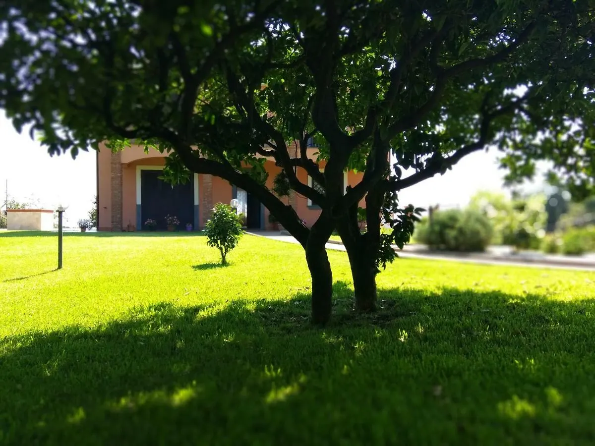 Villa Feluchia Tra Il Mare E Il Vulcano Acireale Bed & Breakfast